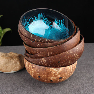 Divine Coconut Shell Bowl (6 Colors)